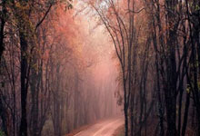 忽然觉得做这个网站意义并不大呢