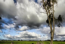 忽然觉得做这个网站意义并不大呢