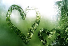 忽然觉得做这个网站意义并不大呢