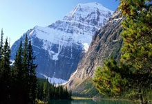 忽然觉得做这个网站意义并不大呢